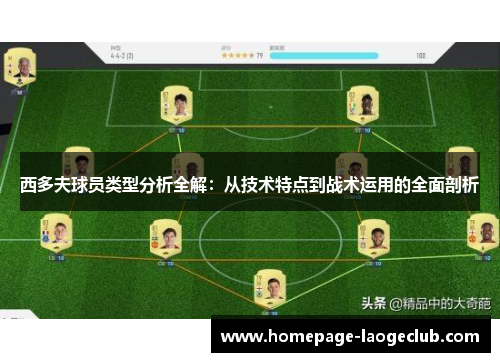西多夫球员类型分析全解:从技术特点到战术运用的全面剖析 西多夫球员类型分析全解:从技术特点到战术运用的全面剖析