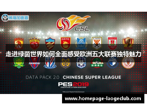 走进绿茵世界如何全面感受欧洲五大联赛独特魅力 走进绿茵世界如何全面感受欧洲五大联赛独特魅力