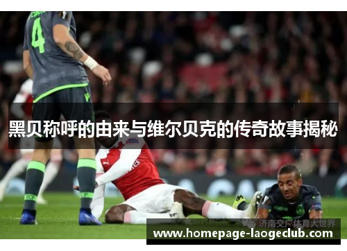 黑贝称呼的由来与维尔贝克的传奇故事揭秘