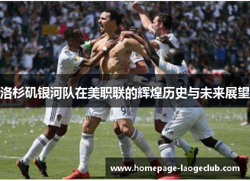 洛杉矶银河队在美职联的辉煌历史与未来展望