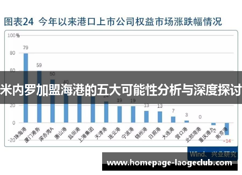 米内罗加盟海港的五大可能性分析与深度探讨