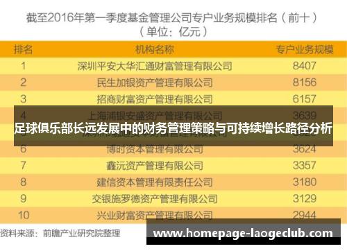 足球俱乐部长远发展中的财务管理策略与可持续增长路径分析