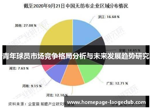 青年球员市场竞争格局分析与未来发展趋势研究 青年球员市场竞争格局分析与未来发展趋势研究