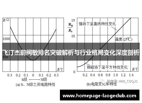 飞汀杰蔚阀敏排名突破解析与行业格局变化深度剖析