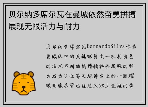 贝尔纳多席尔瓦在曼城依然奋勇拼搏展现无限活力与耐力 贝尔纳多席尔瓦在曼城依然奋勇拼搏展现无限活力与耐力