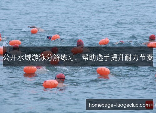 公开水域游泳分解练习,帮助选手提升耐力节奏 公开水域游泳分解练习,帮助选手提升耐力节奏