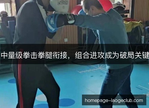 中量级拳击拳腿衔接，组合进攻成为破局关键