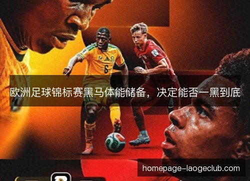 欧洲足球锦标赛黑马体能储备,决定能否一黑到底 欧洲足球锦标赛黑马体能储备,决定能否一黑到底